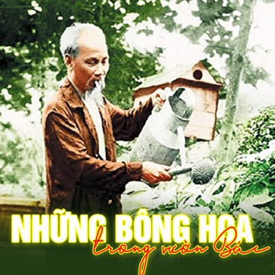 Hoa trong vườn Bác