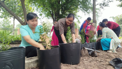 Trồng cây nhân dịp khai giảng năm học mới